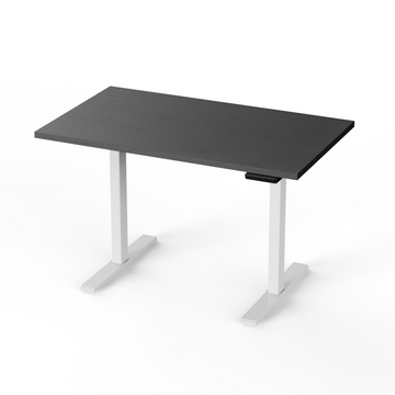 POUT TEKDEC 3-Stage Dual-Motor Electric Standing Desk w/Memory Settings